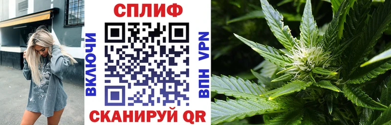 Конопля Энгельс